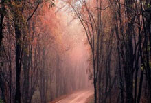 巴伦西亚主场击败马拉加，士气高涨