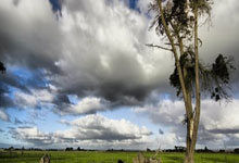 巴伦西亚主场击败马拉加，士气高涨