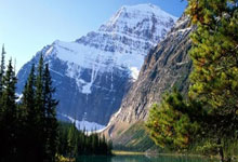 巴伦西亚主场击败马拉加，士气高涨