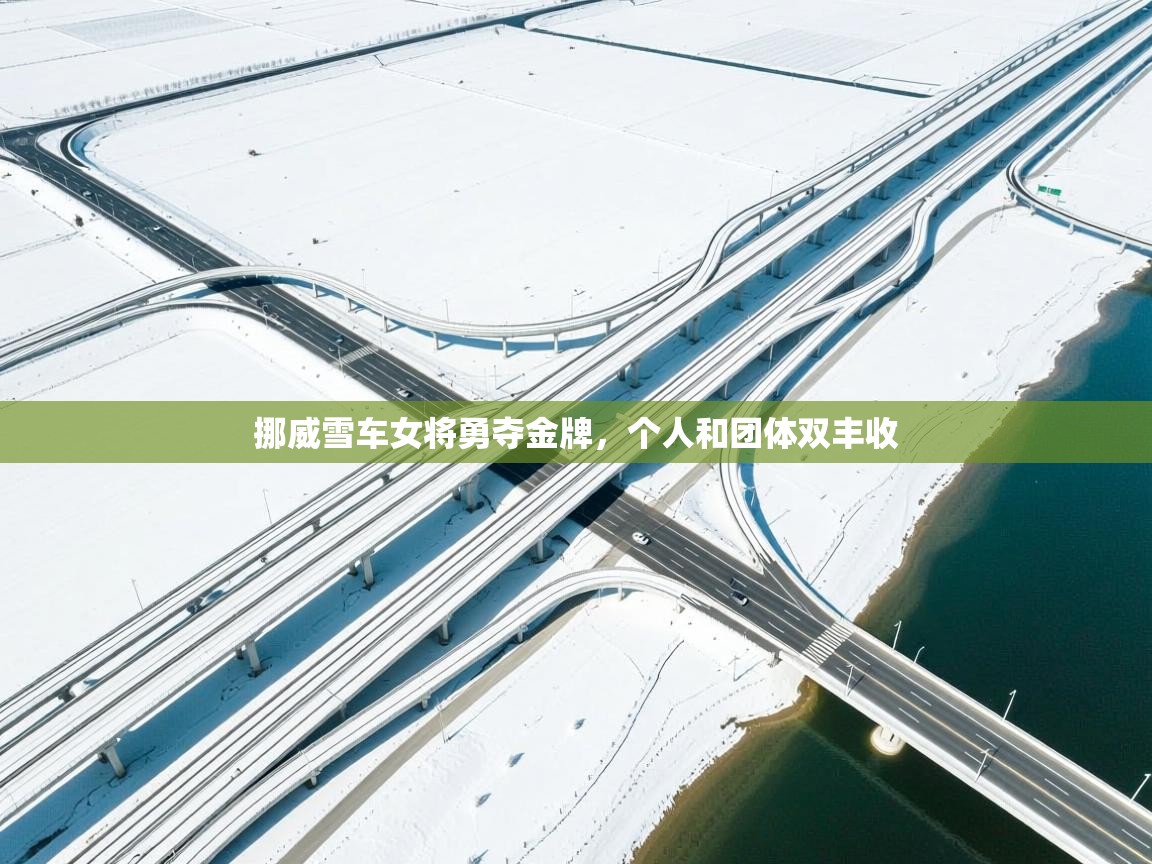 挪威雪车女将勇夺金牌，个人和团体双丰收  第2张